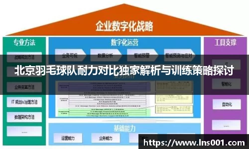 北京羽毛球队耐力对比独家解析与训练策略探讨