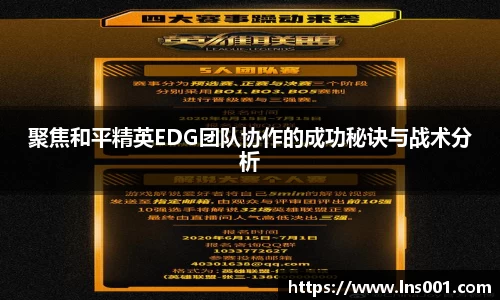 77体育直播官网